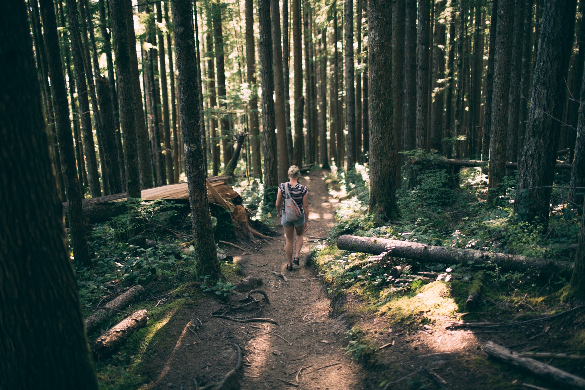 jena wandern