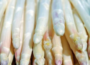Thüringer Spargel genießen
