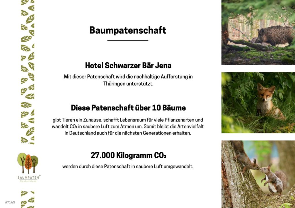 Baumpaten Hotel
